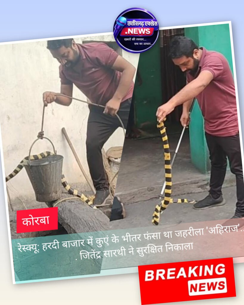 रेस्क्यू: हरदी बाजार में कुएं के भीतर फंसा था जहरीला ‘अहिराज’…. जितेंद्र सारथी ने सुरक्षित निकाला